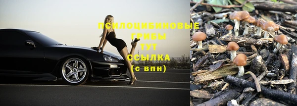 jwh Костерёво