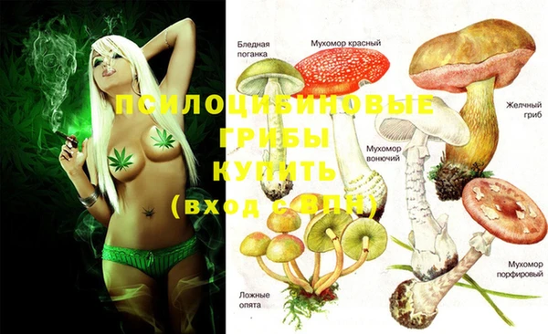 марки lsd Краснослободск