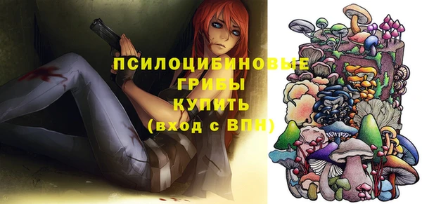 хмурый Коряжма