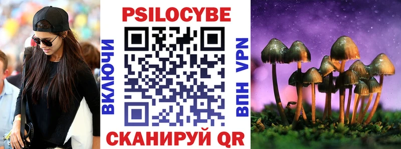 Купить закладки Гурьевск Псилоцибиновые грибы мухоморы